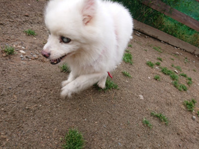 f:id:roukenhome-ann:20190516145000j:plain f:id:roukenhome-ann:20190516145000j:plain