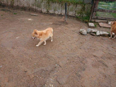f:id:roukenhome-ann:20190516145005j:plain f:id:roukenhome-ann:20190516145005j:plain