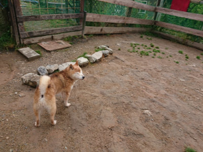 f:id:roukenhome-ann:20190516145009j:plain f:id:roukenhome-ann:20190516145009j:plain