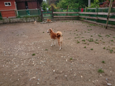 f:id:roukenhome-ann:20190516145020j:plain f:id:roukenhome-ann:20190516145020j:plain