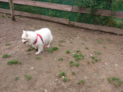 f:id:roukenhome-ann:20190516145042j:plain f:id:roukenhome-ann:20190516145042j:plain