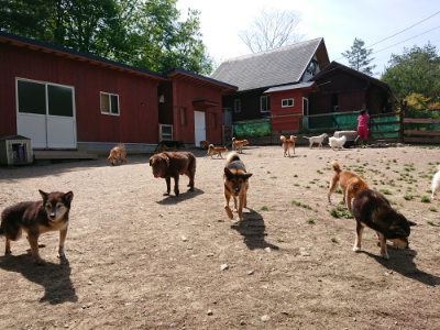 f:id:roukenhome-ann:20190516190030j:plain