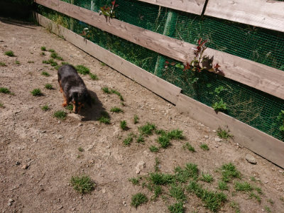 f:id:roukenhome-ann:20190516190104j:plain