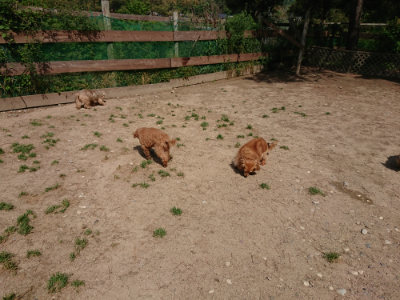 f:id:roukenhome-ann:20190516190131j:plain