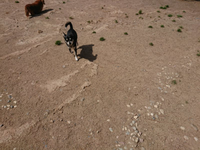 f:id:roukenhome-ann:20190516190211j:plain