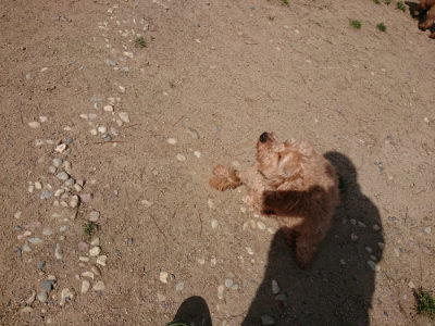 f:id:roukenhome-ann:20190516190216j:plain