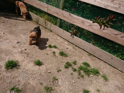 f:id:roukenhome-ann:20190516190246j:plain