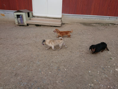 f:id:roukenhome-ann:20190516190251j:plain