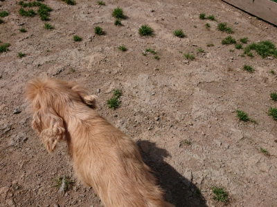 f:id:roukenhome-ann:20190516190301j:plain