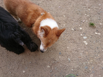 f:id:roukenhome-ann:20190516190310j:plain