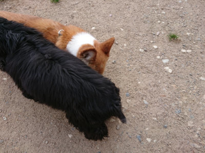 f:id:roukenhome-ann:20190516190331j:plain