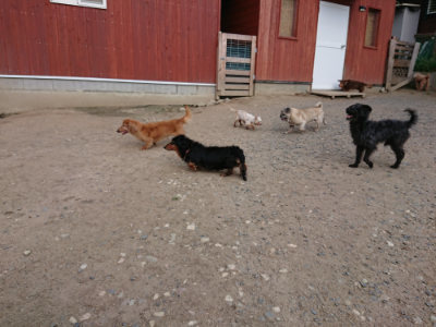 f:id:roukenhome-ann:20190516190720j:plain