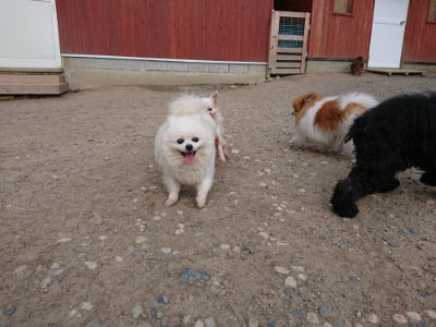 f:id:roukenhome-ann:20190516190901j:plain