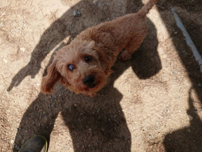 f:id:roukenhome-ann:20190516190906j:plain