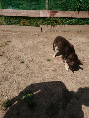 f:id:roukenhome-ann:20190516190912j:plain