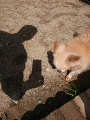 f:id:roukenhome-ann:20190516191106j:plain