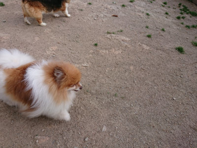 f:id:roukenhome-ann:20190516191115j:plain