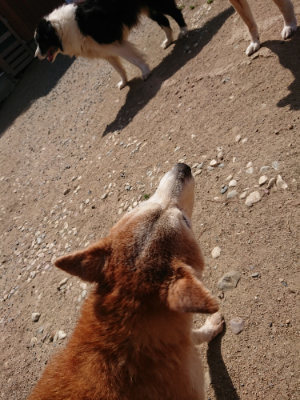 f:id:roukenhome-ann:20190516191145j:plain