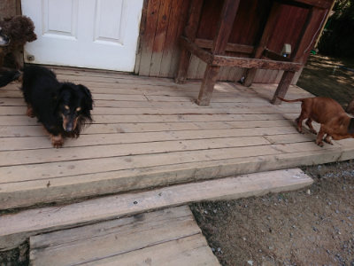 f:id:roukenhome-ann:20190516191305j:plain