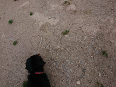 f:id:roukenhome-ann:20190516191337j:plain