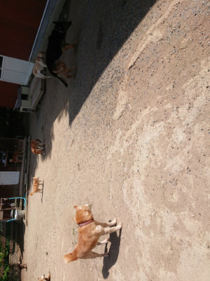 f:id:roukenhome-ann:20190516191350j:plain