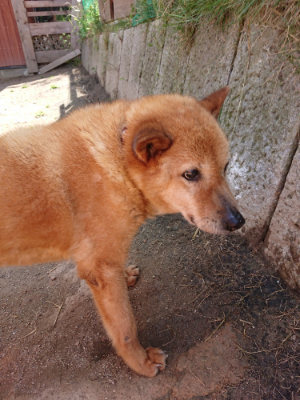 f:id:roukenhome-ann:20190516191508j:plain