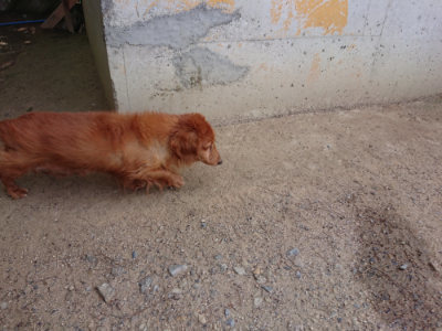 f:id:roukenhome-ann:20190516191521j:plain