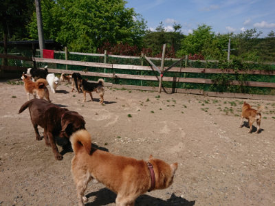 f:id:roukenhome-ann:20190516191827j:plain