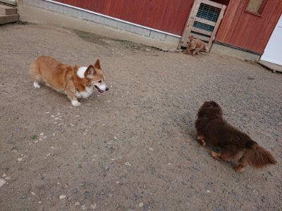 f:id:roukenhome-ann:20190516191846j:plain