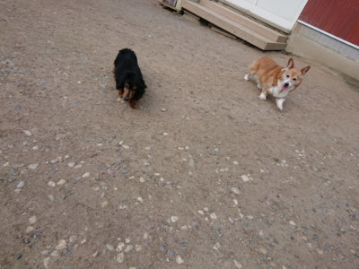 f:id:roukenhome-ann:20190516191901j:plain