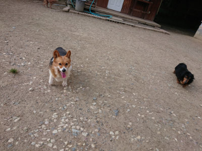 f:id:roukenhome-ann:20190516191930j:plain