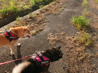 f:id:roukenhome-ann:20190516191935j:plain