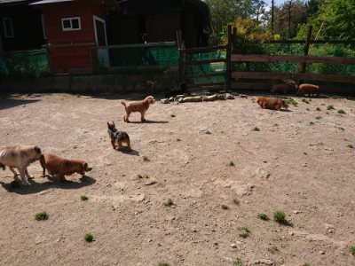 f:id:roukenhome-ann:20190517140019j:plain