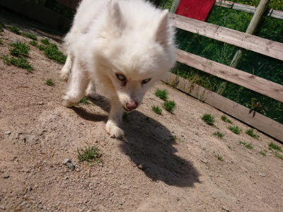 f:id:roukenhome-ann:20190517140051j:plain