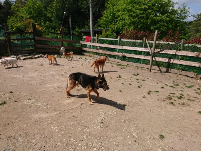 f:id:roukenhome-ann:20190517140056j:plain