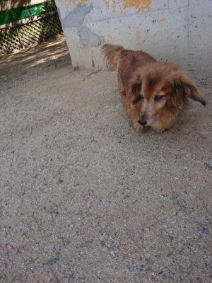 f:id:roukenhome-ann:20190517140109j:plain