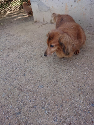f:id:roukenhome-ann:20190517140131j:plain