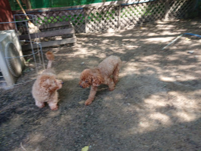 f:id:roukenhome-ann:20190517140138j:plain