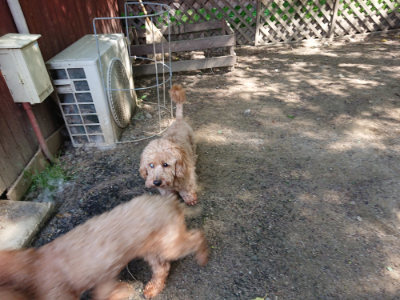 f:id:roukenhome-ann:20190517140157j:plain