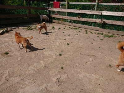 f:id:roukenhome-ann:20190517140212j:plain