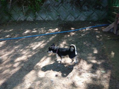 f:id:roukenhome-ann:20190517140217j:plain