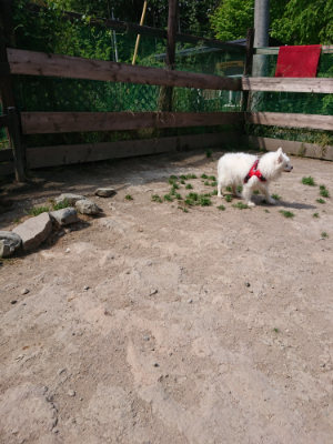 f:id:roukenhome-ann:20190517140222j:plain