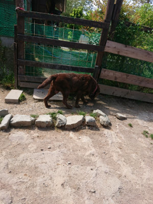 f:id:roukenhome-ann:20190517140228j:plain