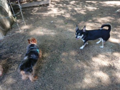 f:id:roukenhome-ann:20190517140237j:plain