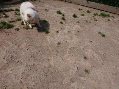f:id:roukenhome-ann:20190517140247j:plain