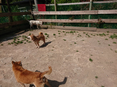 f:id:roukenhome-ann:20190517140252j:plain