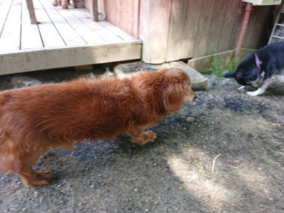 f:id:roukenhome-ann:20190517140259j:plain