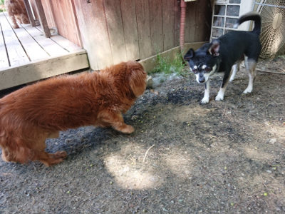 f:id:roukenhome-ann:20190517140304j:plain