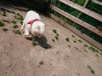 f:id:roukenhome-ann:20190517140310j:plain