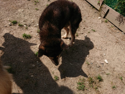 f:id:roukenhome-ann:20190517140314j:plain